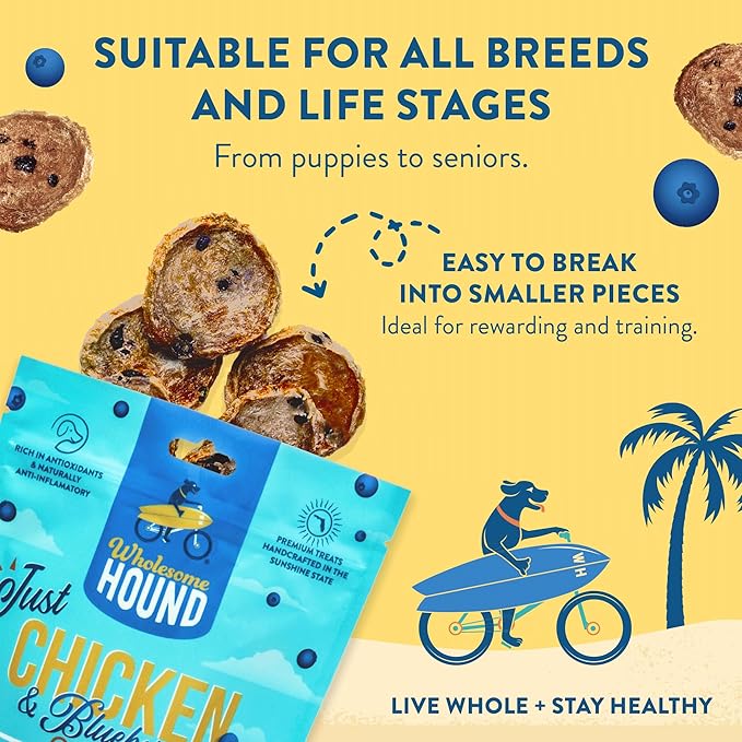 Chicken & Blueberry Chips – 2 Simple Ingredient Dog Treats, All Natural & Healthy Training Snacks for Small, Medium & Large Breeds, Puppies – High Protein, Made in US, 7oz