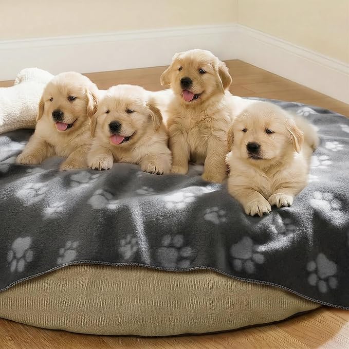 LINENLUX Cute Dog Blanket for Small Medium Dogs 6-Pack Soft Stretchy Fleece Blankets for Pet Cat Puppy Warm Wrinkle-Resistant Throw for Couch Bed Outdoor Grey 40x31 inch (Pack of 6)