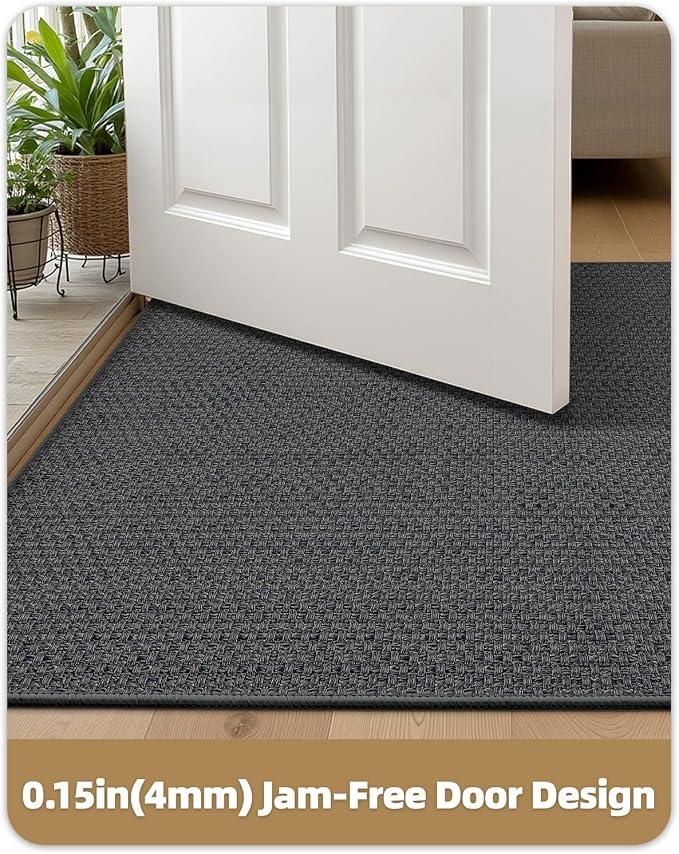 Color&Geometry Ultra-Thin Indoor Door Mat, Washable Doormat