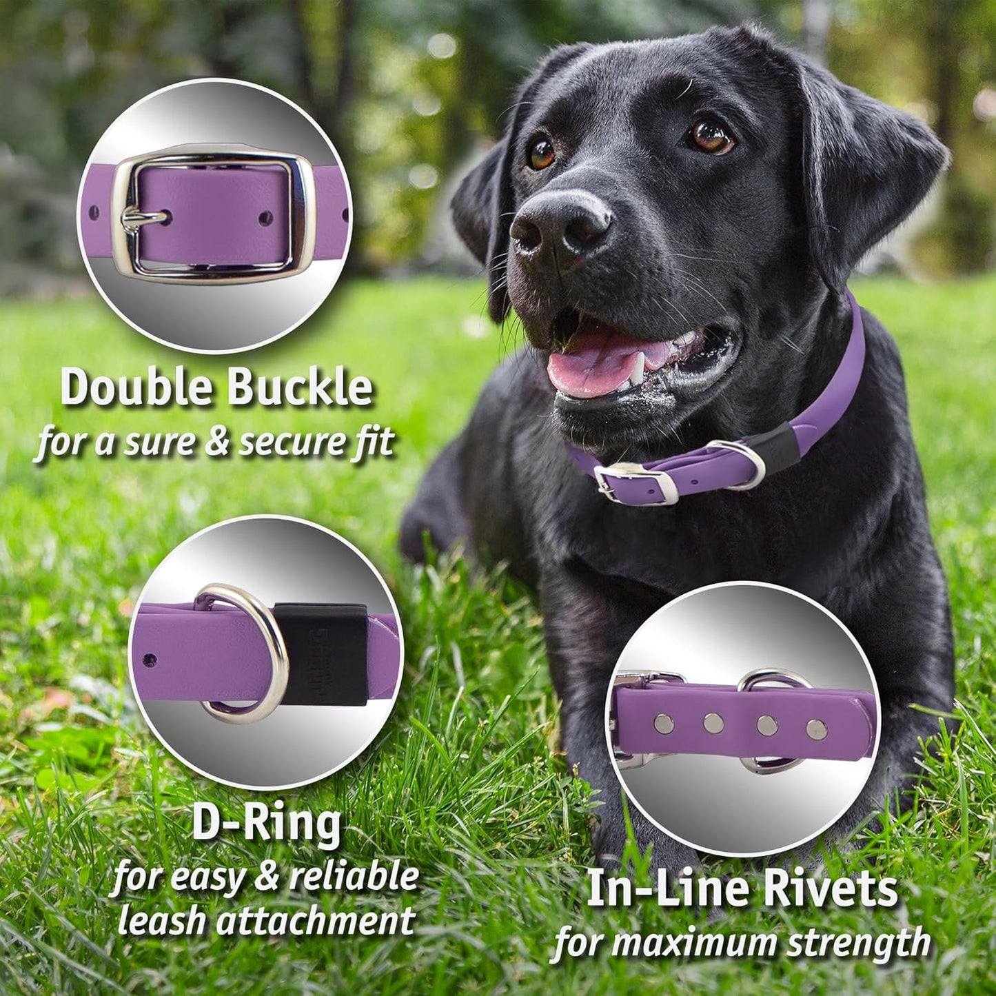 Biothane Custom Dog Collar – Waterproof, Stink-Proof Personalized Collar with Name & Phone Number – Durable, Many Sizes and Colors – Assembled in USA (Black)