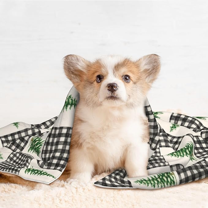 Buffalo Plaid Pet Blanket - Dog Throw Blanket 23x16 Couch Blankets for Puppy Dogs Cats