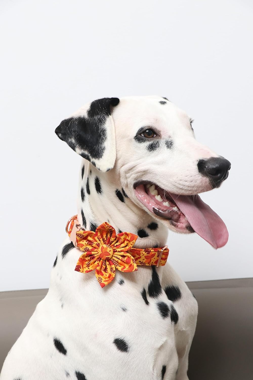 Lionet Paws Dog Collar with Flower - Cute Cotton Adjustable Flower Dog Collar with Metal Buckle for Large Dog Girl Gift, XL, Neck 16-26in