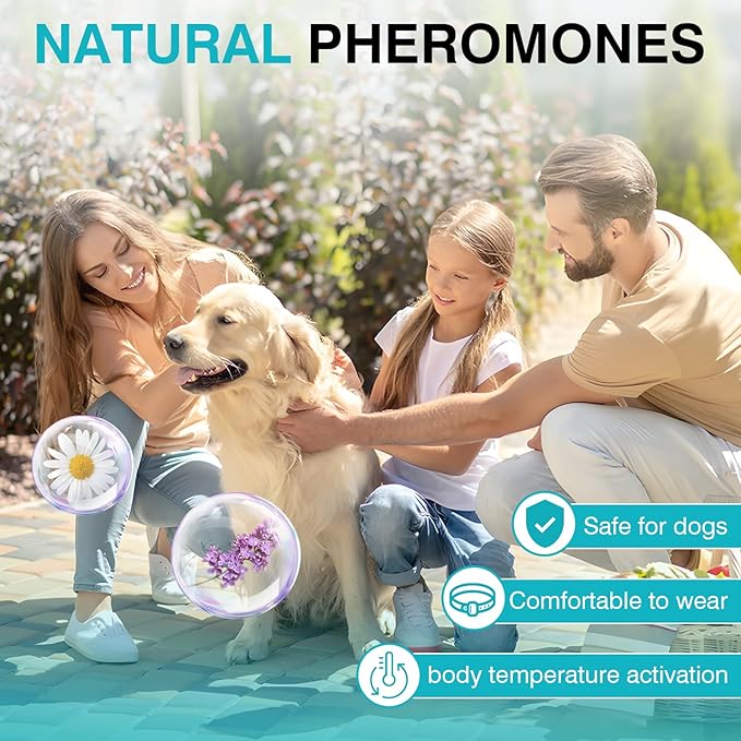 6 Packs Calming Collar for Dogs Dog Calming Pheromones Collar Separation Anxiety and Stress Relief Anti Anxiety 60 Days Calm Pheromone Collars Adjustable Waterproof for Small Medium Large Dogs 25 Inch
