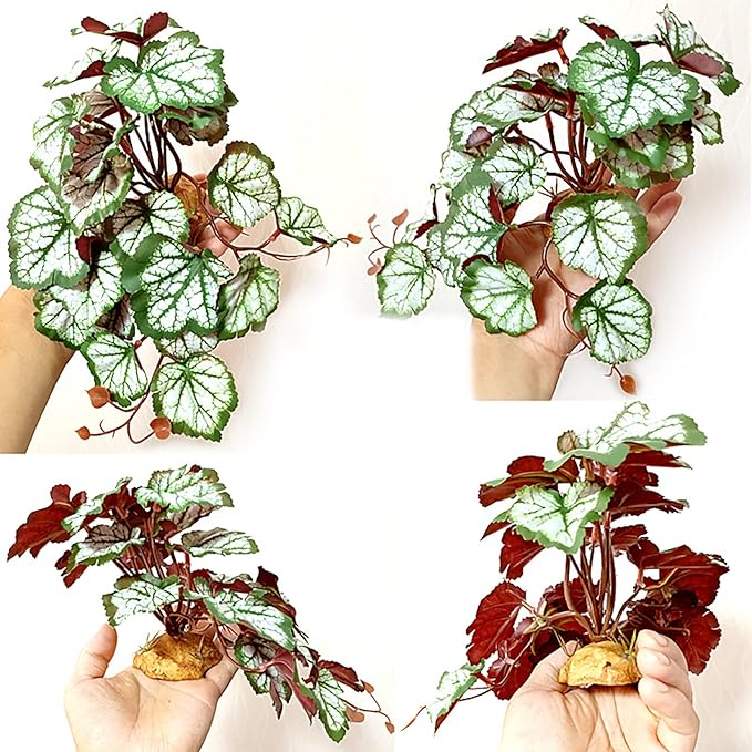 Woyrise Reptile Artificial Plants for Terrarium Decor, Amphibian Habitat Hideout Bearded Dragon Tank Decorations fit Crested Gecko Leopard Lizard Chameleon Ball Python Snake Frog - Saxifrage