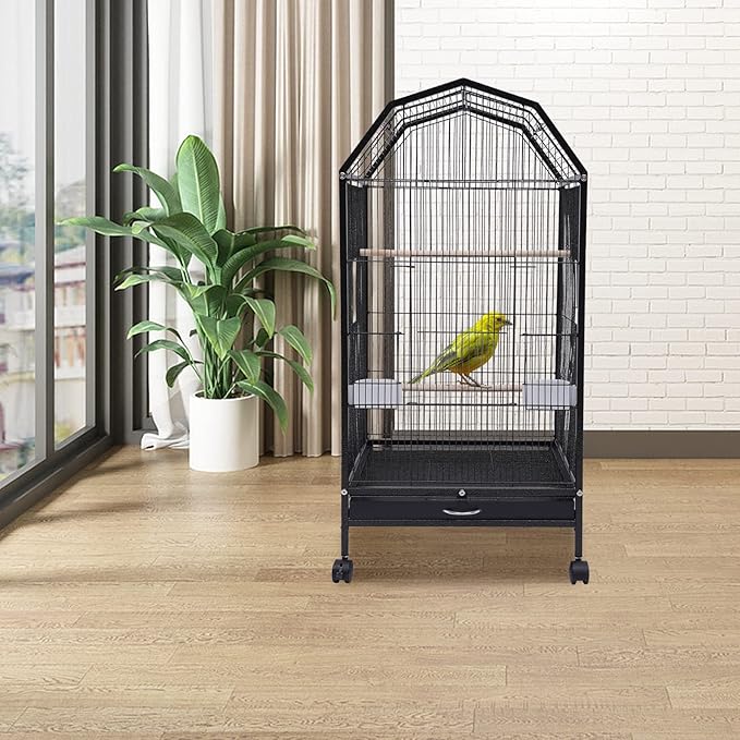40 Inch Bird Cage with Play Open Top & Lockable Rolling Stand, Medium Birdcage for Parrot Lovebirds Finches Canaries Parakeets Cockatiels Budgie Parrotlet Conures, Black