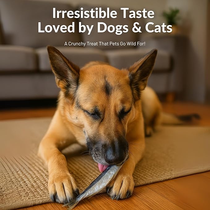 Happy Gluten Free Herring Dog Treats – Wild-Caught Dried Fish for Dogs & Cats – Single Ingredient, High Protein Fish Treats – Made in Alaska, Infused with Turmeric (3.5 oz)