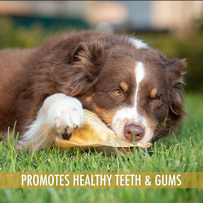 Wild Eats Water Buffalo All Natural Ear Dog Chews, Single Ingredient Dog Treats - 20 Count (Grain Free Treats - Great Alternative to Pig Ears, Cow Ears, Bones & Rawhides)