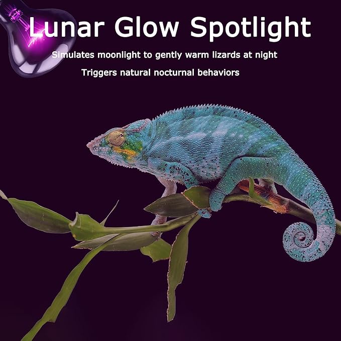 60W Reptile Night Light Bulb - Simulate Natural Moonlight for Bearded Dragons, Lizards, Snakes, and Amphibians - UVA Basking Lamp for Aquariums & Tanks, Enhance Health and Activity