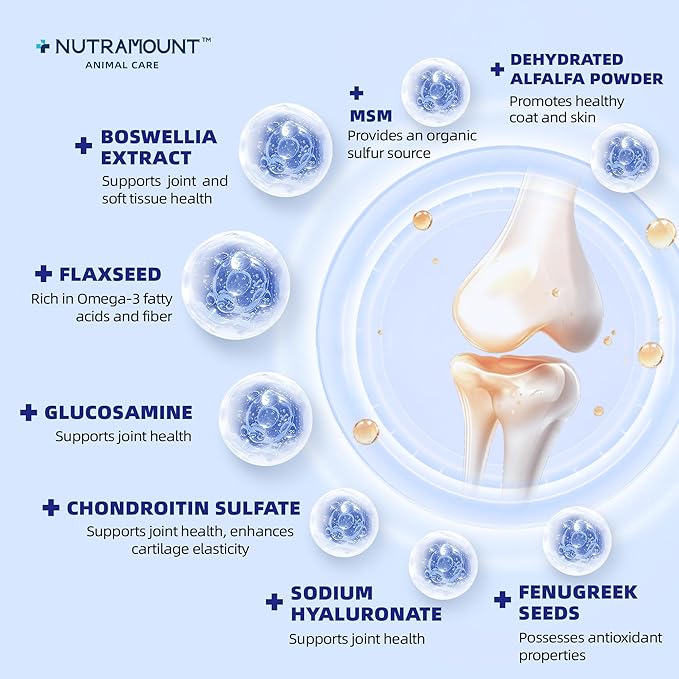 Glucosamine Joint Protection Supplement for Horses Support Cartilage Health & Joint Mobility 15-Day Supply