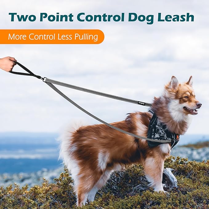 PetBonus Two Point Control Dog Leash, Works with No Pull Harnesses, No Tangle Training Leashes, Soft Padded and Reflective Walking Lead, Converts to Single Lead for Medium Large Dogs (Grey)