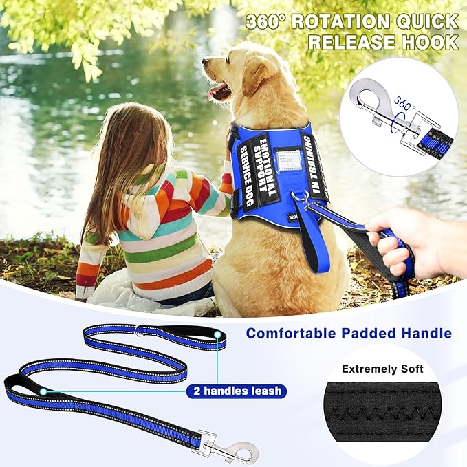 Service Dog Vest Harness and Leash Set+10 Patches,No Pull&Easy Walk Reflective Dog Harness with Soft Padded Handle for Training/Everyday,Fit Small/Medium/Large/Extra-Large Dogs (Blue M)