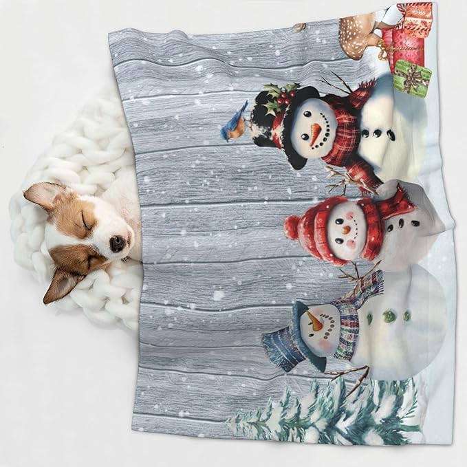Winter Snowman Throw Blanket - Wodden Blanket for Dog Cat Snowy Pet Blankets 23x16 for Couch Sofa Bed
