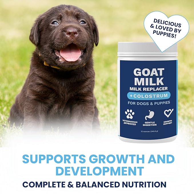 Under the Weather Puppy Milk Replacement Formula + Colostrum for Dogs & Puppies | Goat Milk Replacer Powder | Goat-Based Formula with Colostrum for Immune & Digestive Support - 12 oz