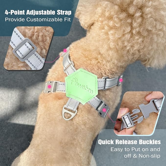 Pawaboo Small Dog Harness and Leash Set, Puppy Harness X-Frame No Pull No Choke, Dog Vest Harness Adjustable for Small Medium Sized Dogs, Soft Breathable Pet Harness for Walking Outing, S, Mint Green