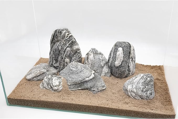 Natural Rocks Aquarium Stone 20lb Silver Seiryu Rock for Fish Tanks, Terrariums, Bonsai, Garden Decoration, Micro Landscapes & Reptile Terrariums (2-9inch 7-8Pcs)