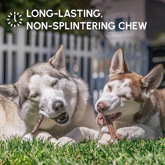Downtown Pet Supply USA Sourced Bully Sticks for Dogs - Grass-fed Beef Chews, Low-Odor & Rawhide-Free, Long Lasting Dog Treats - Healthy, Safe & Delicious Chews (6" 5 Pack)