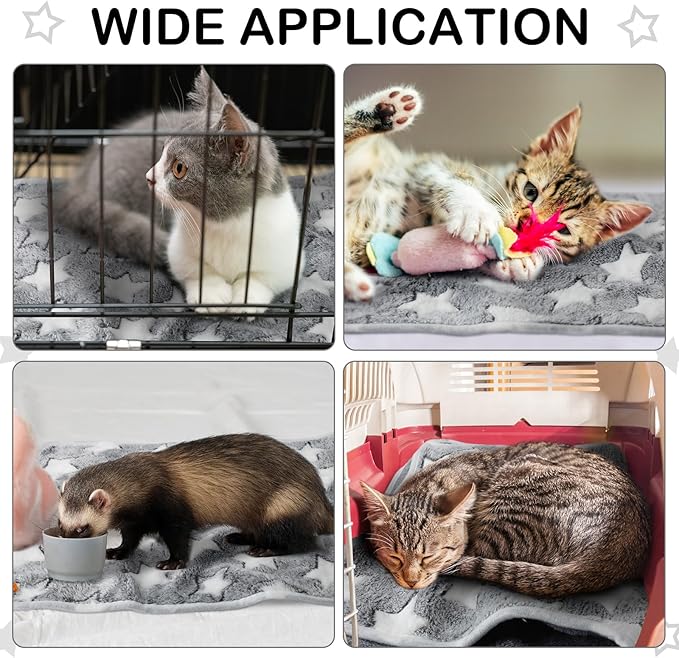 Tranqun 4 Pcs Waterproof Dog Blankets 30 x 21 Inch Washable Puppy Blankets for Small Dog Reusable Pet Pee Pad Soft Reversible Fleece Cat Blanket Sleep Floor Mat for Guinea Pig Cage Liners (Gray)