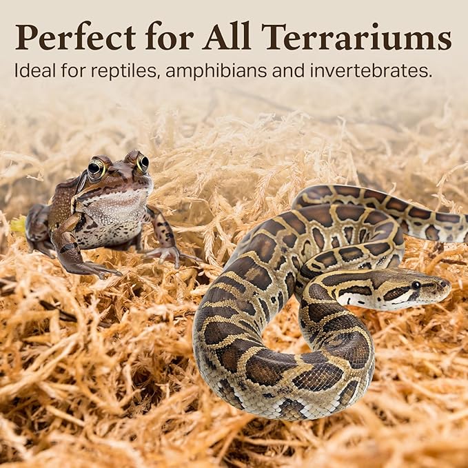 The Habitat Life - Natural Sphagnum Moss - for Reptiles, Amphibians & Invertebrates Terrariums - Humidity Control - Ideal for Burrowing & Nesting - Dye-Free & Safe - Small - 1 Pack