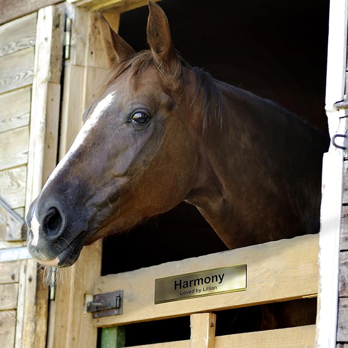 Horse Stall Name Plate, 2x12 Personalized Stall Signs, UV Protected, All Weather Adhesive, Hanging, Mounting or Other, Plastic with Red Letters - Made in USA - B19