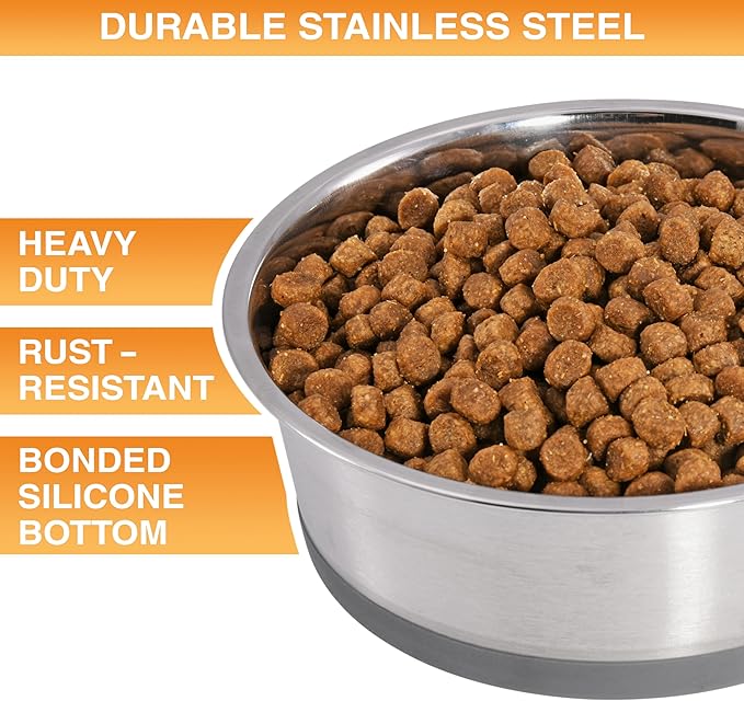 Neater Pet Brands Stainless Steel Dog Bowls with Non-Slip Rubber Bottom – 2 Cup (16 oz), Gray - Set of 2 Heavy Duty Metal Dog Bowls, Dishwasher Safe, Food or Water Bowl, Ideal for Small Dogs & Cats