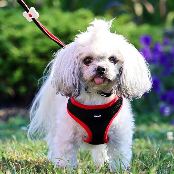 Coastal Pet Li'l Pals Dog Slicker Brush with Coated Tips - Dog Grooming Brush for Small Breeds & Puppies - One Size (3.25” x 7.25”)