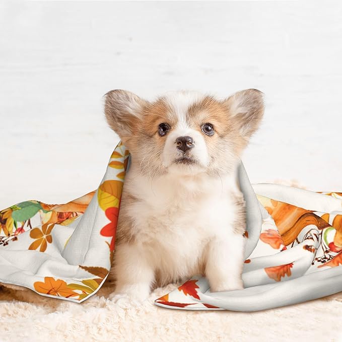 Pumpkins Blanket for Dog Cat - Orange Fall Throw Blanket 23x16 Autumn Pet Blanket for Couch Sofa Bed