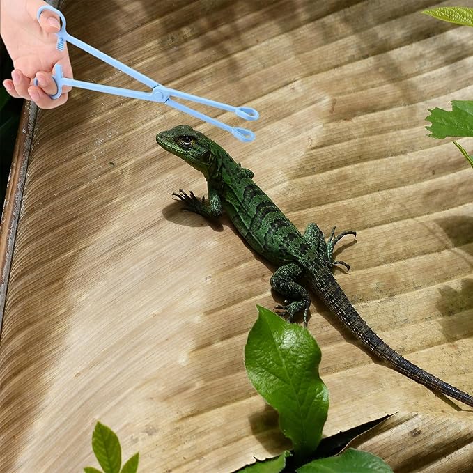 RUIAN 9.64in Reptile Feeding Clip, Plastic Tongs, Safe, Comfortable, for Tortoise, Lizard & More，Clip Reptile Plastic Tweezers Tongs