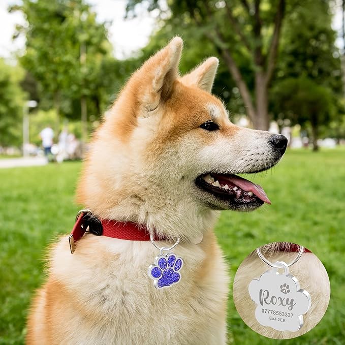 EDSG Cat Dog Tags Personalized for Pets, Dog Name Tags Cat Name ID Tag, Engraved Dog Tags Dog ID Tags Small Glitter Bling ID Tag Paw Print for Cat Pet Dog Puppy(Pink,Design 3)
