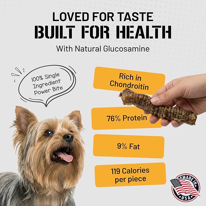 Dog Chits Lamb Trachea Dog Chews - 100% Single Ingredient, High Protein, Low Fat - Glucosamine for Joint Support - Dental-Clean Crunch - for Dogs Sensitive to Beef, Training Treat - 6 inch, 8 oz