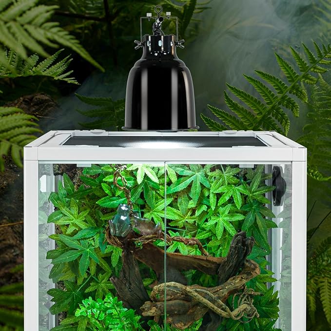 OIIBO 30 Gallon Reptile Tank 18" x 18" x 24" Reptile Terrarium, Full View Glass Terrarium Tank with Double Hinge Door for Reptiles Amphibians, Bearded Dragon Gecko Lizard Snake