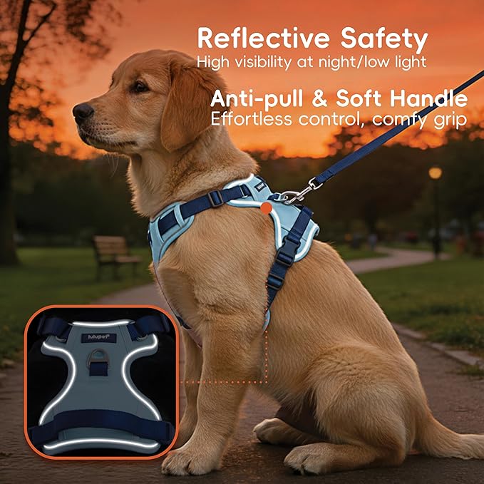 3 in 1 No Pull Dog Harness Leash and Collar Set, Soft Adjustable Dogs Vest Reflective and Comfortable Handle Blue Medium