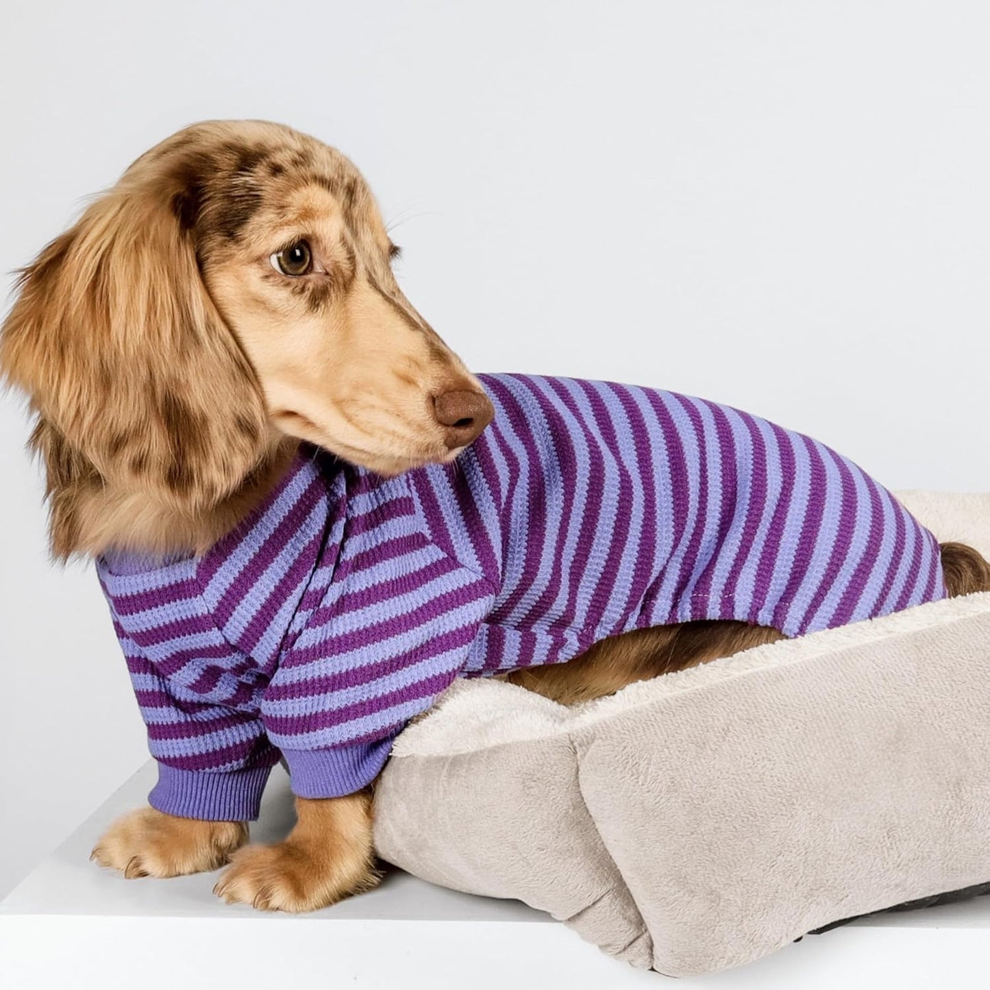 Fitwarm Purple and Violet Striped Dog Pajamas, Waffle Dog Clothes for Small Dogs Girl Boy, Puppy Onesie with Feet, Pet Cat Outfit, Small