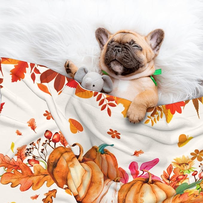 Pumpkins Blanket for Dog Cat - Orange Fall Throw Blanket 40x30 Autumn Pet Blanket for Couch Sofa Bed