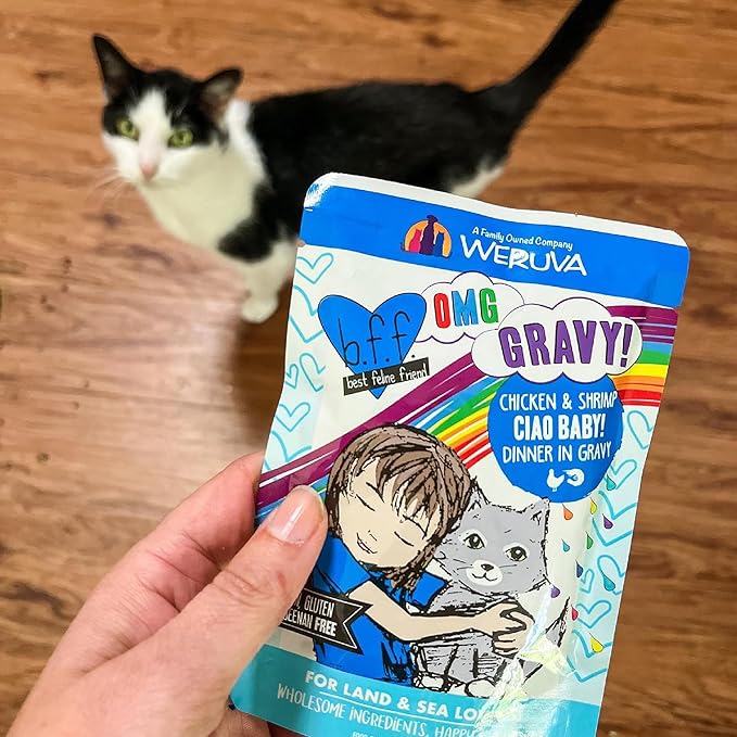 Weruva B.F.F. OMG - Best Feline Friend Oh My Gravy!, Yippy Ki Yay Yellows! Variety Pack, 2.8oz Pouch (Pack of 12)