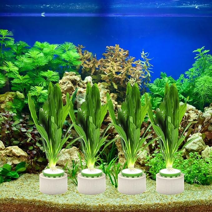 12 Pack Aquarium Plant Weights, Aquatic Plants Fixed Ring Set, Anti-Floating Ceramic Aquarium Plant Rings, Aquarium Landscape Decoration Fish Tank Accessories 1.8 x 1.3 Inch