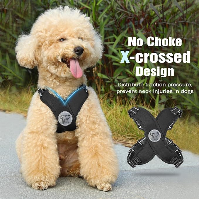 Pawaboo Small Dog Harness and Leash Set, Puppy Harness X-Frame No Pull No Choke, Dog Vest Harnesses Adjustable for Small Medium Sized Dogs, Soft Breathable Pet Harnesses for Walking Outing (S, Black)