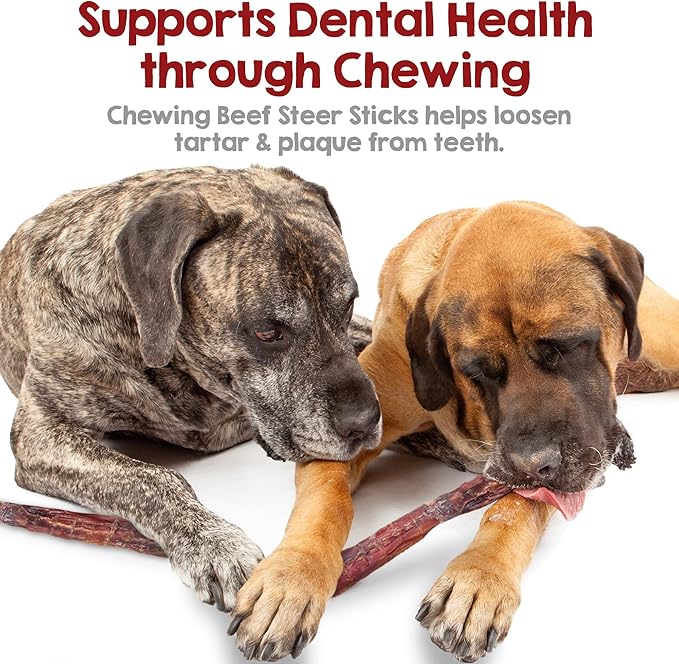 Riley's Steer Bully Sticks for Large to XL Dog Breeds - Odor Free, Single Ingredient Treat - Easily Digestible, 100% Beef Pizzle Sticks for Dogs - 12", 5ct (Pack of 2)