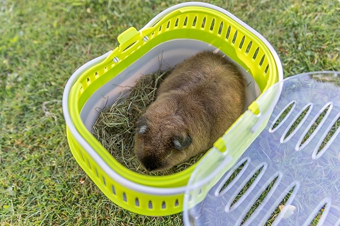 Trixie Pico Transport Crate - Portable Pet Carrier Great for On-The-Go - Traveling Cage for Small Pets, Hamsters, Guinea Pigs, Lizards, and More