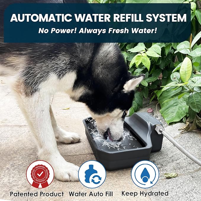 Automatic Dog Water Dispenser, 1 Gallon Auto-Fill Dog Water Bowl Dispenser for Indoor/Outdoor, Large Water Feeder for Pets & Livestock, Fits GHT 3/4" Faucet, BPA Free, Easy to Clean, Gray