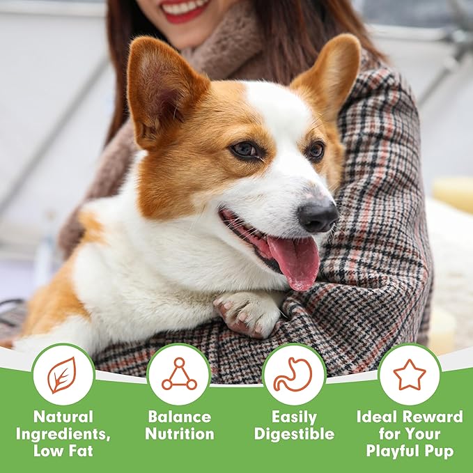 MON2SUN Lollipop Dog Treats, 4.5 Inch Chicken and Egg with Rawhide Twist Sticks, Healthy and Teeth Cleaning Snacks for Small Dogs, 10.58oz (15 Count-Pack of 2)