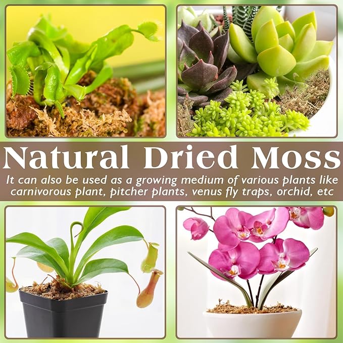 ZeeDix 6OZ Premium Sphagnum Moss for Reptiles, 8QT Dried Moss for Terrarium Long Fibered Leopard Gecko Moss Natural Sphagnum Peat Moss Bedding for Frogs Anoles Snake Turtle Plants