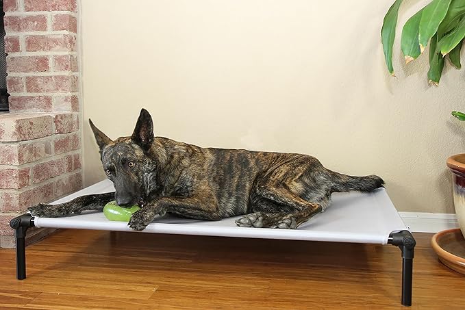 Starmark Dog Zone X-Large Sky Blue