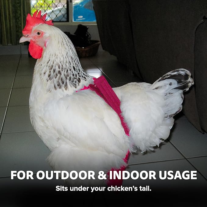 Hen Holster Bikini Diaper, Bird Diaper & Harness for Hens, Roosters, Ducks, Geese - with Removable Vinyl Liner, Adjustable Fit for Outdoor Adventures & Indoor Use - Easy to wear - S/M, Pink