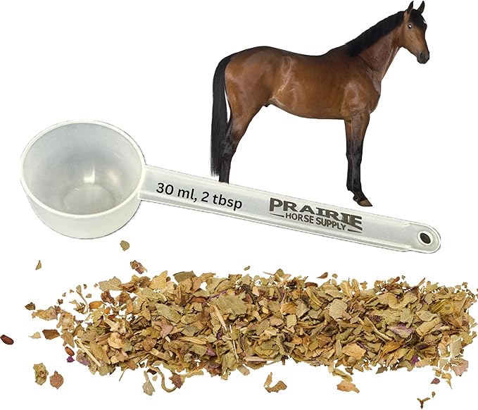 Prairie Horse Supply Supplement Scooper, Durable Measuring Spoons & Pet Food Scoop for Accurate Dosages, Ideal for Horse, Pet & Animal Supplements, 4.5 Inch Long Handle, 30ml/2 Tablespoons (1 Pack)