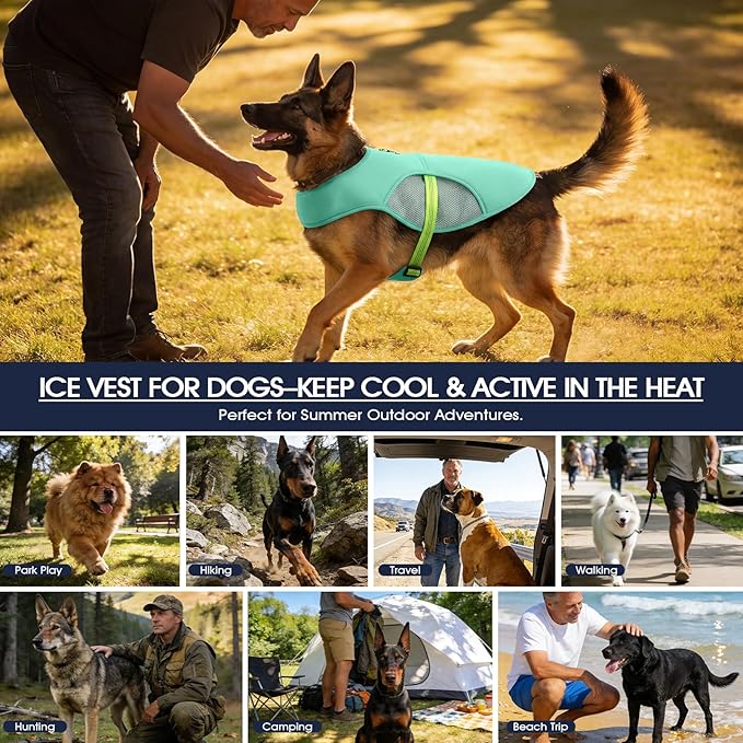 IECOii Cooling Vest for Dogs for Hot Weather, Reflective Adjustable Dog Shirt with Leash Ring, Lightweight Pet Outdoor Cooling Harness for Walking, Hiking, Beach, Turquoise, Size XL