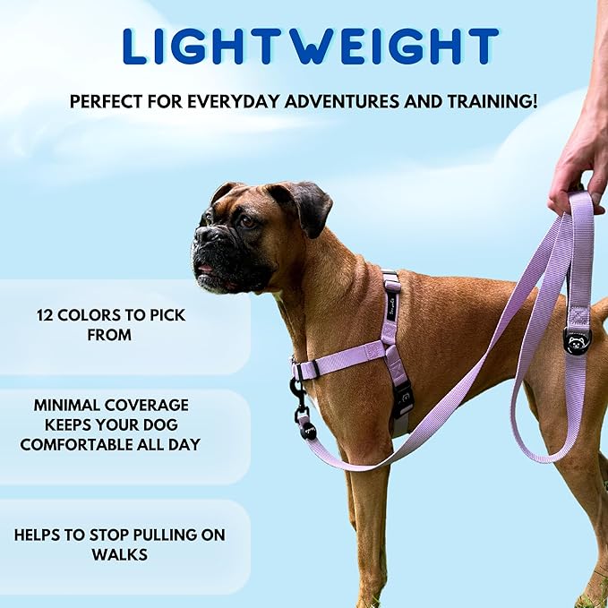 ShawnCo Dream Walk No-Pull Dog Harness- Adjustable, Comfortable, Easy to Use Pet Halter to Help Stop Pulling for Small, Medium and Large Dogs- Art Pattern Designs (White Sharks, L)