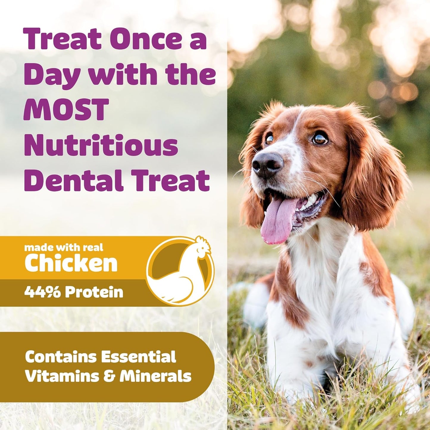 Dog Dental Treats – Vet VOHC Approved – Delicious Chicken Protein – Removes Tartar with Cleaning Comb Shape – Dental Dog Treats for Extra Large Dogs (36oz, 18 Count)