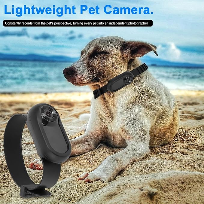 1080P Pet Camera Collar with 90° Wide Angle Lens, Mini Dog Cat Collar Camera with IPS Screen - Continuous Recording & Comfortable Silicone Fit for Outdoor Activity (Black)