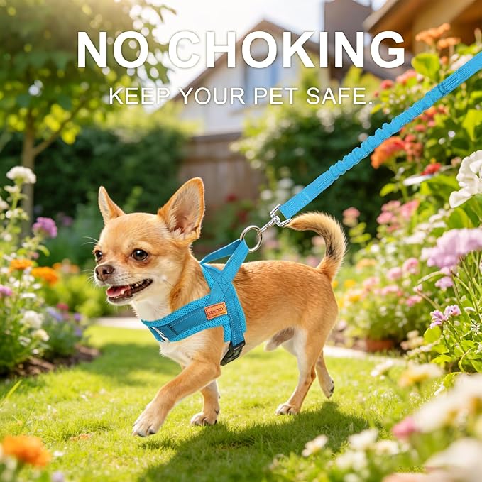 BEAUTYZOO Dog Harness for Small Dogs, No Pull Dog Harness and Leash Set, Soft Escape Proof Puppy Vest Harness with Handle, Reflective Lightweight Step in Harness for Girl Boy Dogs, Blue M