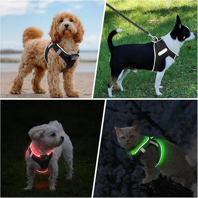 PceoTllar Light Up Dog Harness, LED No Pull Reflective Dog Harness, Flashing Lighted for Night Walking - Small/Medium, (Black Red,s)